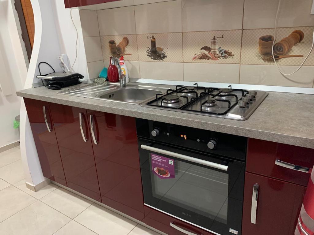 Apartament Garsoniera Natalia Sybin Zewnętrze zdjęcie